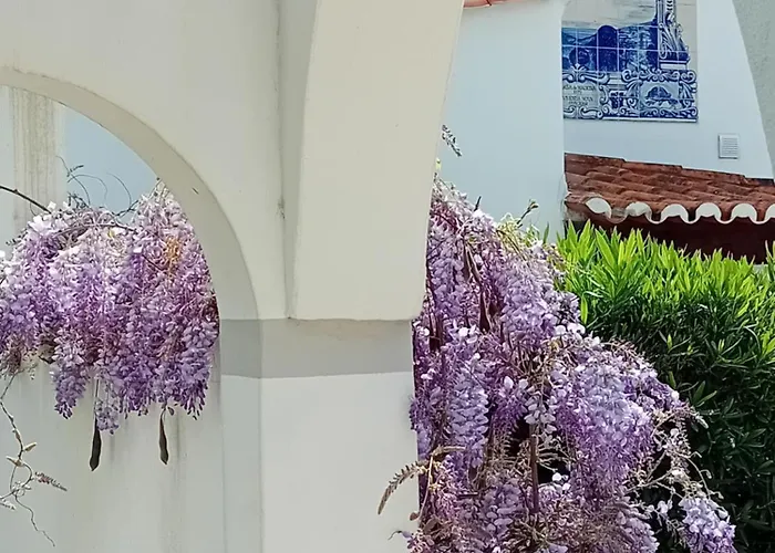 Casa Madeira, With Salt-water Pool And Sauna