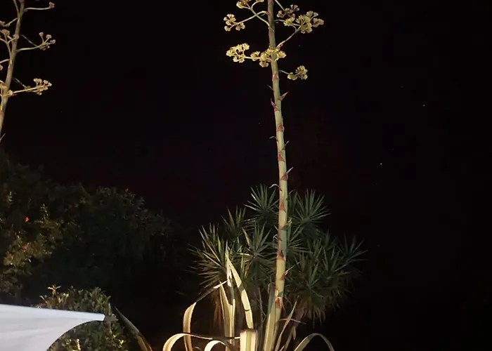 Casa Madeira, With Salt-water Pool And Sauna * 라고스