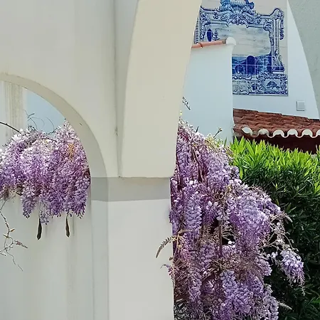 Casa Madeira, With Optional Heated Salt-water Pool And Sauna