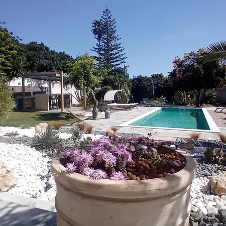 Casa Madeira, Boutique * Лагуш