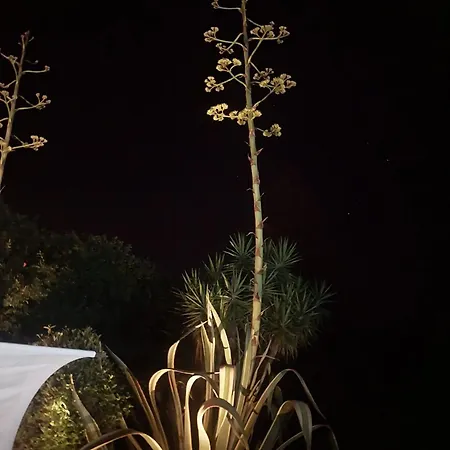 Casa Madeira, With Optional Heated Salt-water Pool And Sauna * Lagos